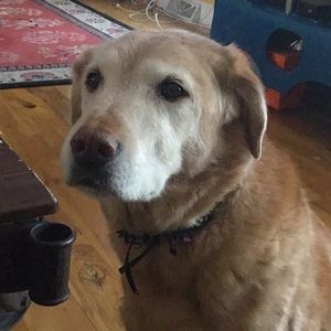 Meet your Posher, Kathy